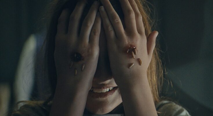 prey-for-the-devil-pojoksinema.com