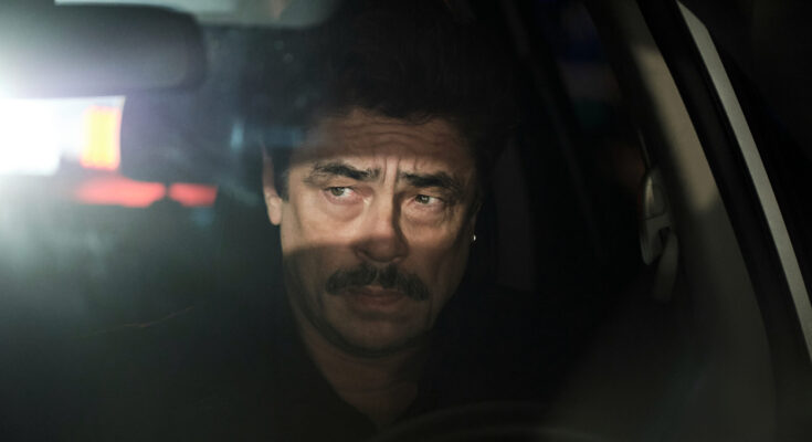 Kembalinya Benicio Del Toro Di Thriller "Reptile" Yang Njelimet ( Imdb/pojoksinema.com )