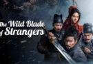 The Wild Blade of Strangers: Max Zhang Dan Sengketa Berdarah Tiongkok