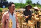 “Seribu Bayang Purnama”: Kisah Cinta yang Mekar di Tengah Gelisah Kaum Tani
